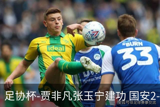 足协杯-贾非凡张玉宁建功 国安2-1大连可为晋级8强